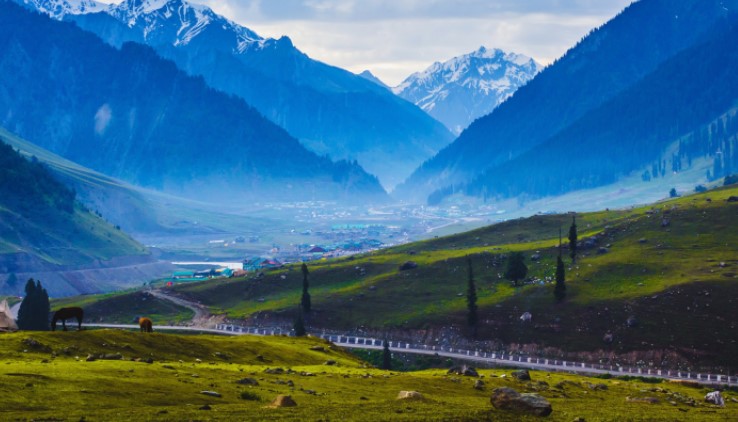 15 Things Kashmir is Famous For Remove term: Kashmir is Famous For Kashmir is Famous ForRemove term: what is kashmir famous for what is kashmir famous for
