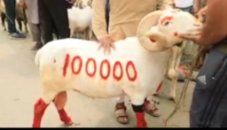 Eid ul Azha 2022 in J&K