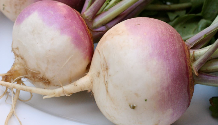 5 Health Benefits having Turnip or Shalgam Check Details