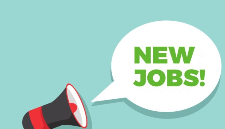 IIT Tirupati Recruitment 2022-23 Apply Online Now » Check All Details Here