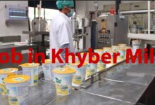Job in Khyber Milk Srinagar Recruitment 2020: Apply Now