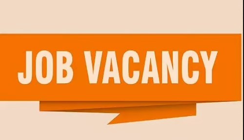 2900+ Jobs | 12th & Graduate Eligible, Apply Now