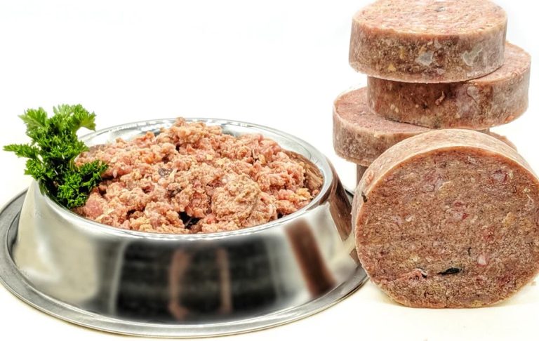 Organic Raw Dog Food: A Guide to Healthy Eating for Your Furry Friend